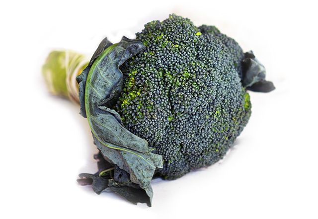 Broccoletto